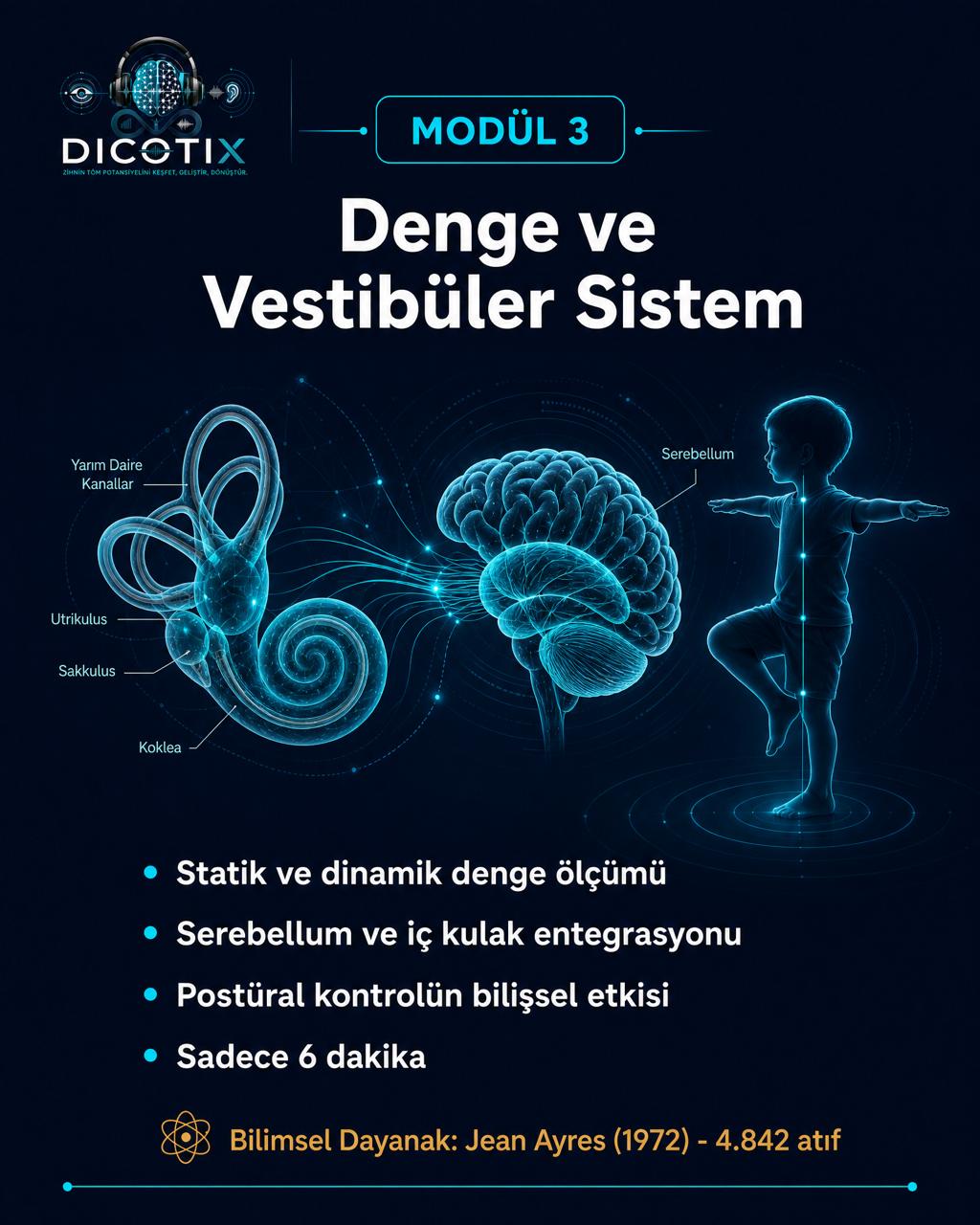 Modül 3 Denge ve Vestibüler Sistem
